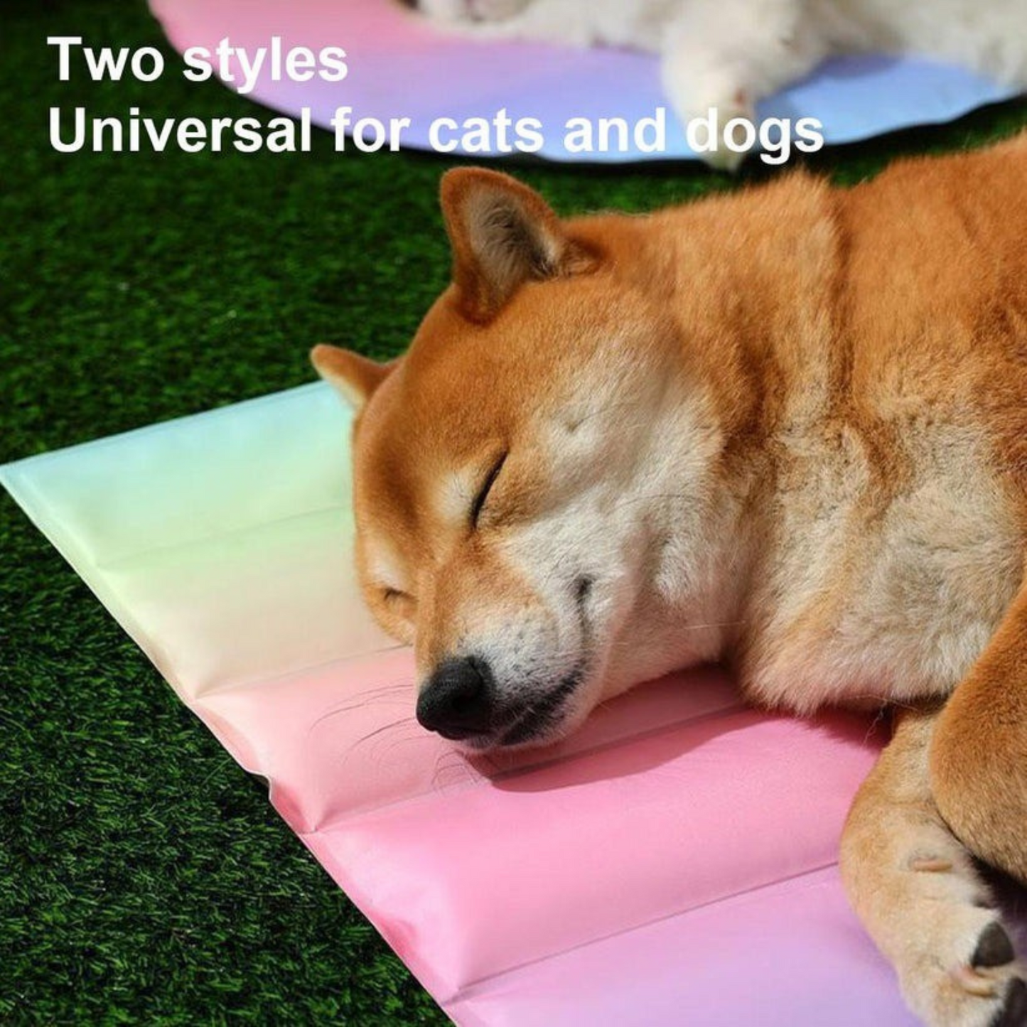 IcePaw Mat